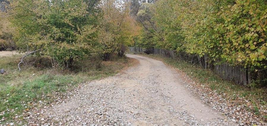 5 hectare / 4 loturi - Frasinet, Jud. Buzau - 6