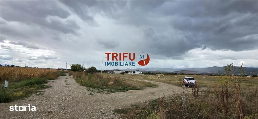 Teren de 5900 mp, în Partoș