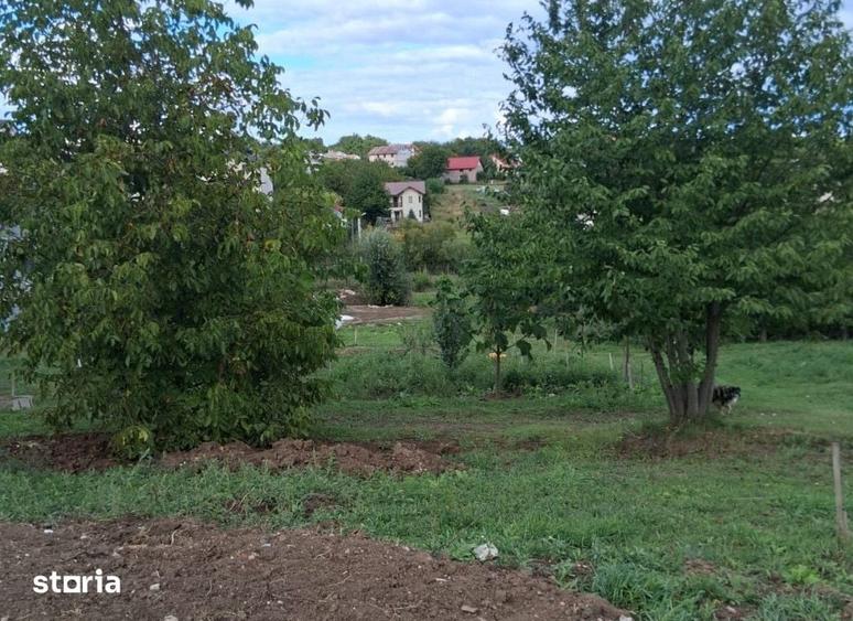 Teren intravilan Valea Adanca , 548 metri Cod:163062 - 6
