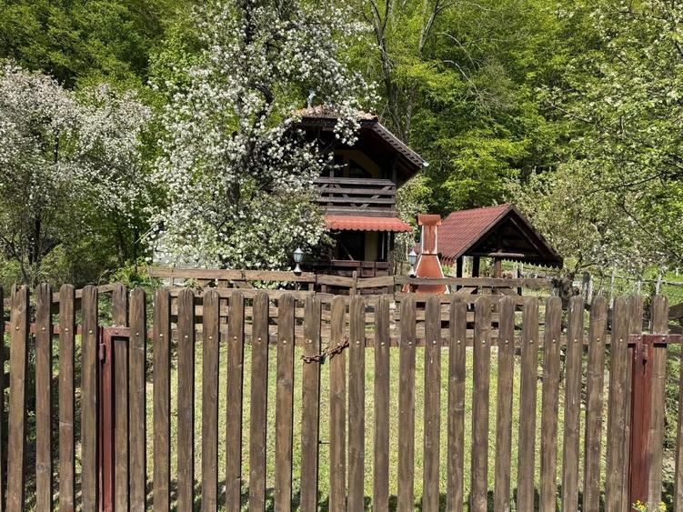 Casă cu 2 camere în Pădurea Neagră