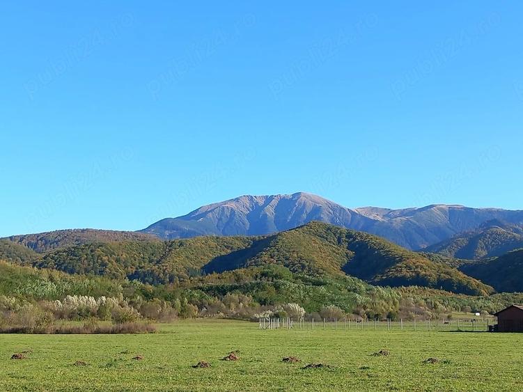 Teren de 700 mp, în Sebeșu de Sus