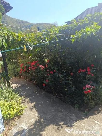 Casă cu 5 camere cu Teren 4925 Mp în Lechința