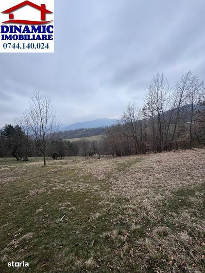 Teren de 6000 mp, în Alexandru cel Bun