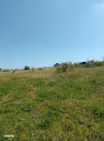 Spațiu comercial, în Chinteni
