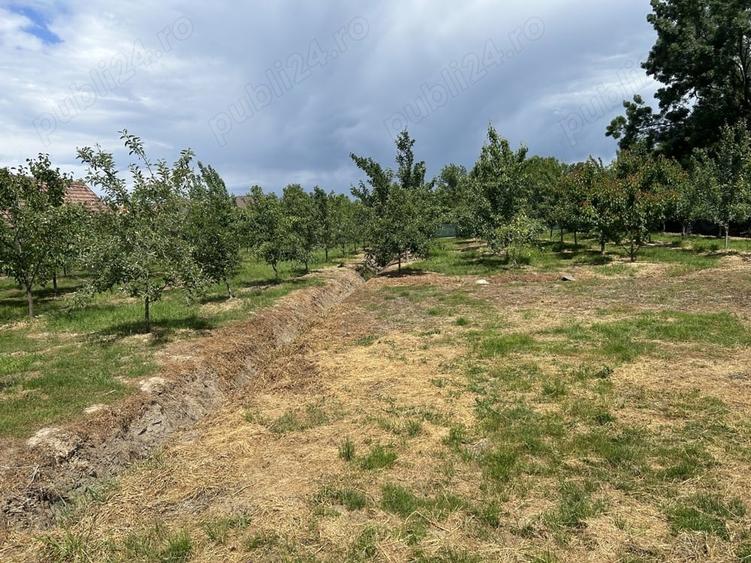 Casă cu 6 camere cu Teren 2700 Mp în Bocsig