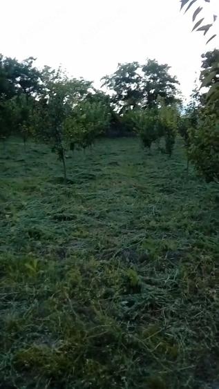 Teren de 2700 mp, în Suhurlui