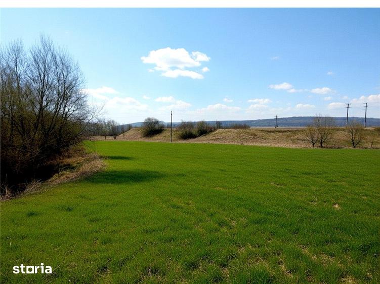 Teren de 12400 mp, în Pătrăuți