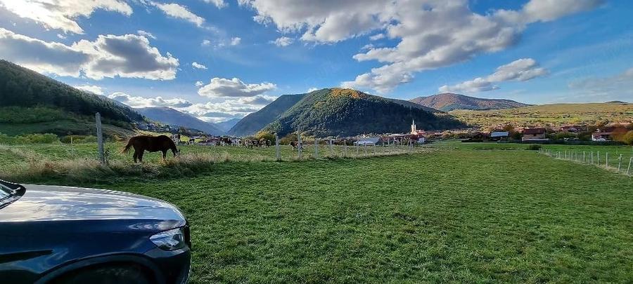 Teren de 5000 mp, în Gura Râului