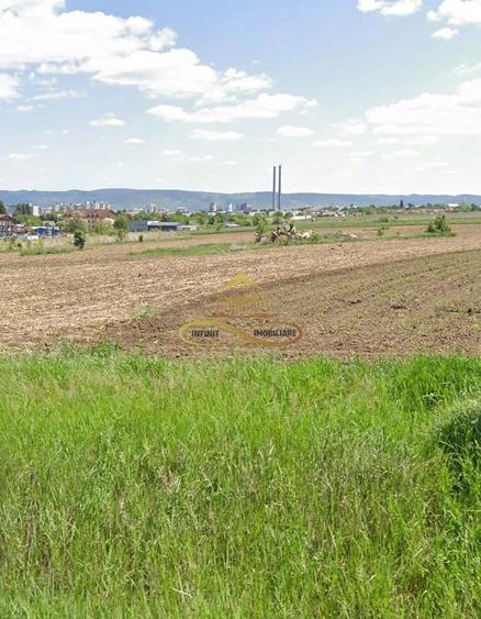 Teren de 19079 mp, în Narcisa