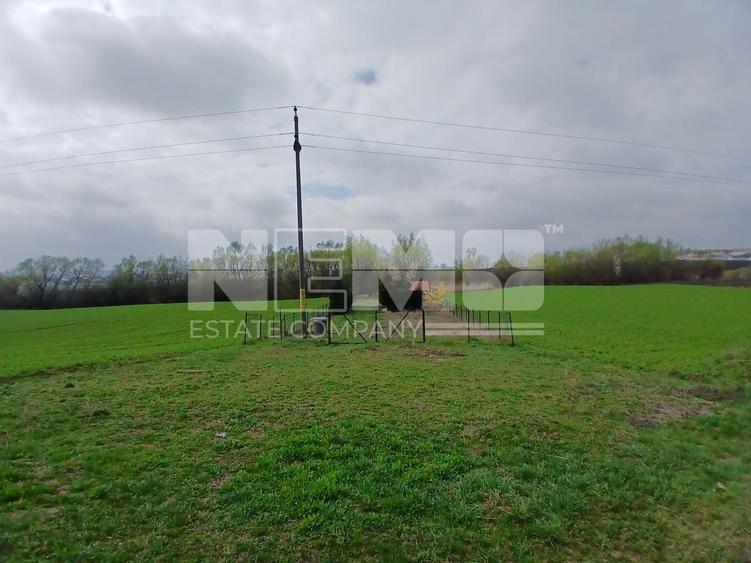 Teren agricol extravilan de 4100 mp, în Burdujeni