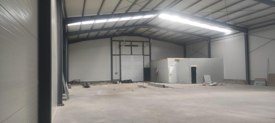 Spațiu industrial, de 540 mp, în Moara Domnească