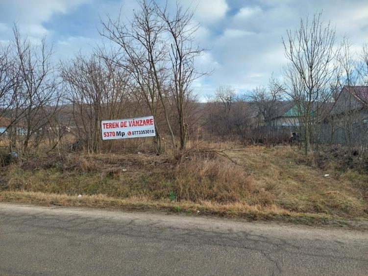 Teren Construcții extravilan de 5370 mp, în Dobrovăț