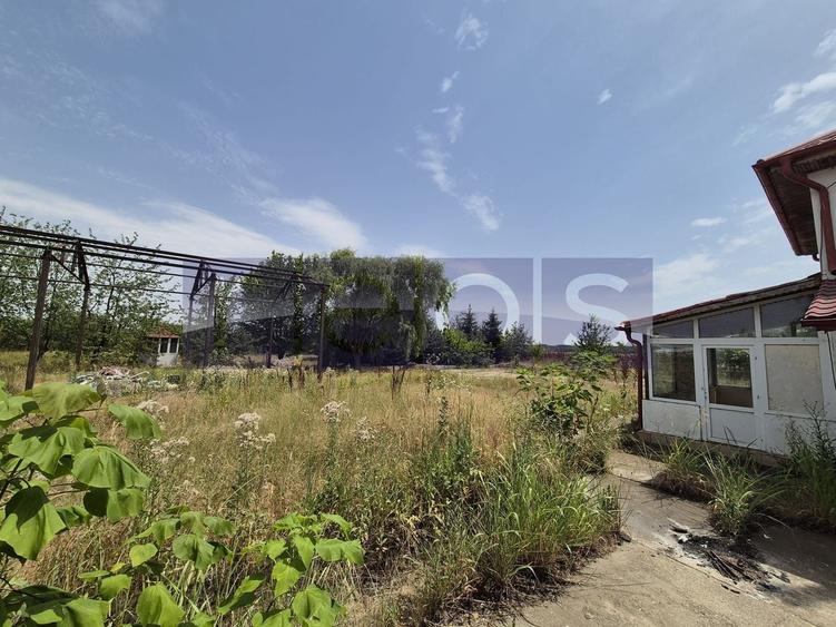 Teren Construcții intravilan de 35510 mp, în Belciugatele