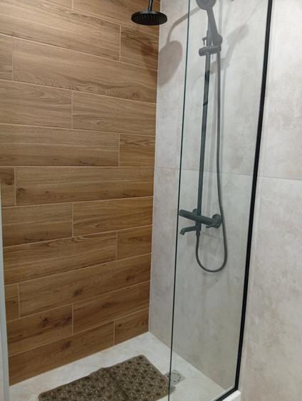 Apartament cu 2 camere decomandat în Timișoara