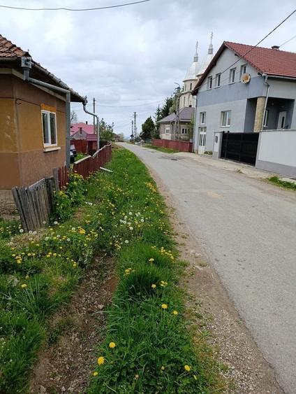 Casă cu 3 camere în Dângău Mare