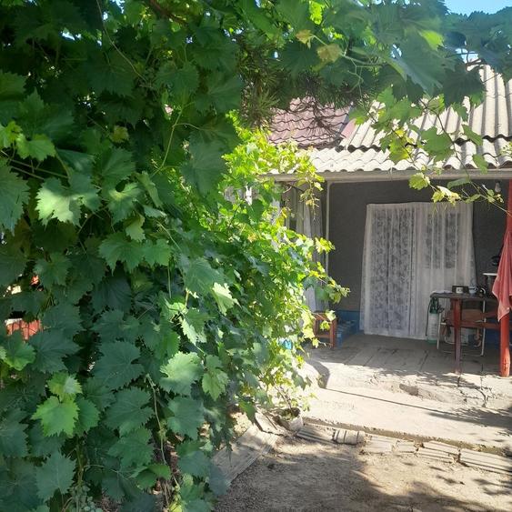Casa de vanzare Sat Lunca, jud.Tulcea - 6