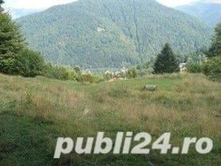 Teren de 3300 mp, în Predeal