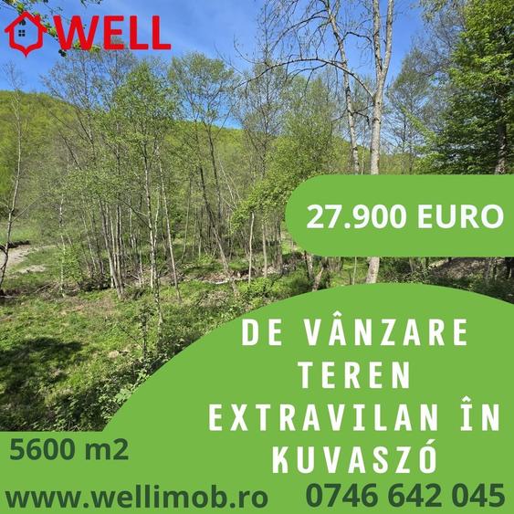 Teren extravilan de 5600 mp, în Filia
