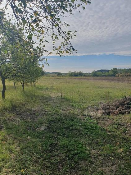 Teren de 60 mp, în Orașu Nou