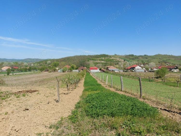 Teren de 76393 mp, în Vladimir