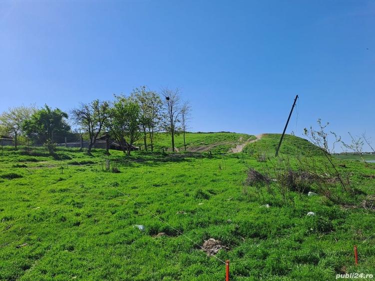 Teren de 1000 mp, în Sultana
