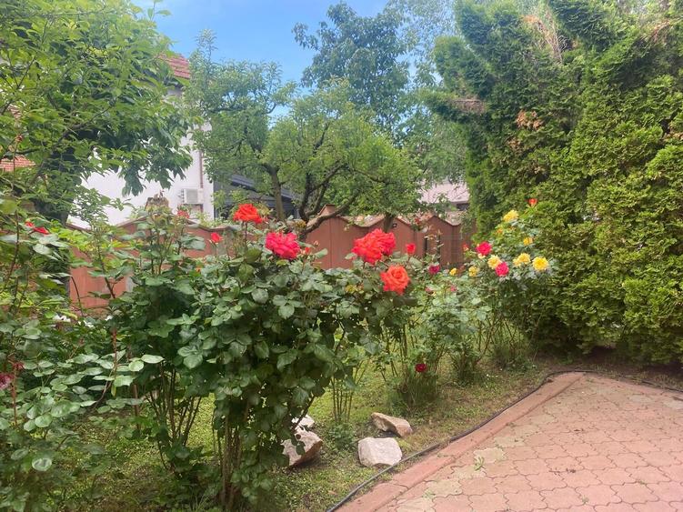 Casă individuală cu 7 camere cu Canalizare în Iancu Nicolae