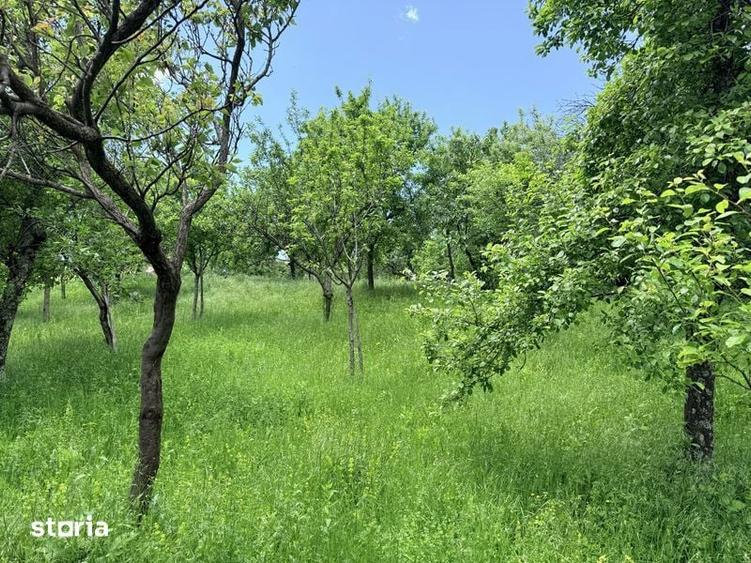 Teren de 5800 mp, în Schela