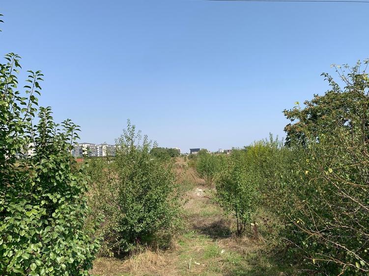 Teren Construcții intravilan de 960 mp, în Agigea