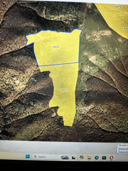 Teren de 780000 mp, în Padeș