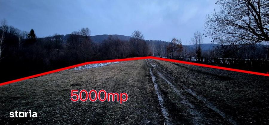 Teren de 5000 mp, în Șinca