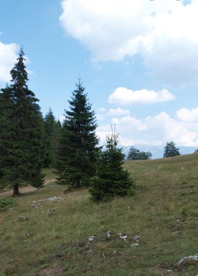 Teren de 768 mp, în Pantelimon