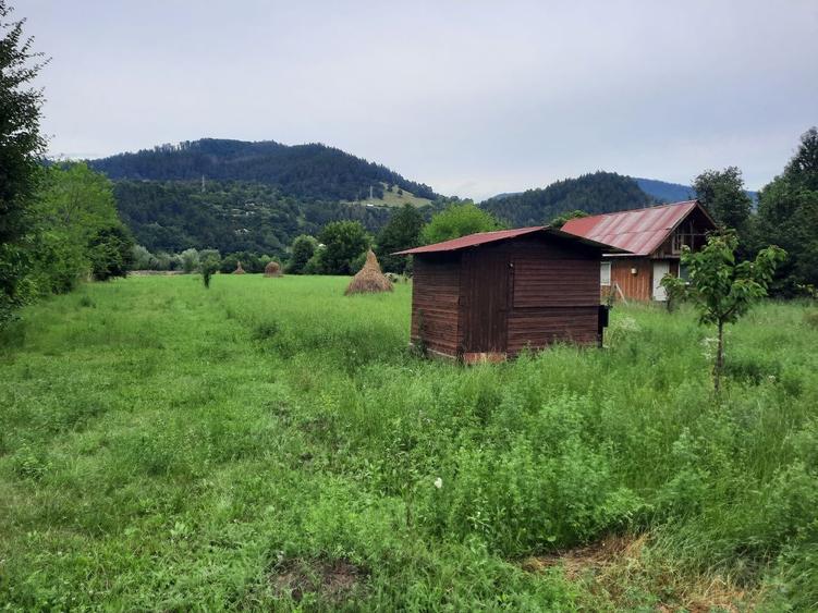 Teren Construcții intravilan de 3600 mp, în Pângărați