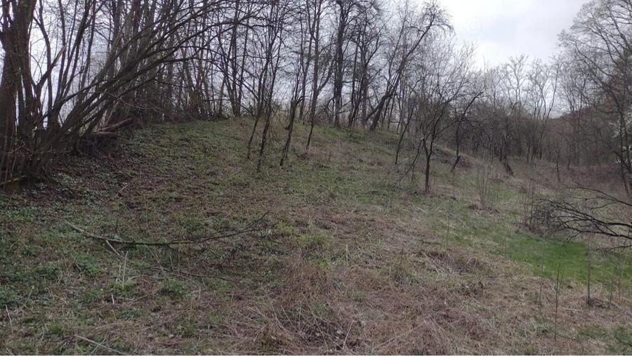 Teren de 3398 mp, în Provița de Sus
