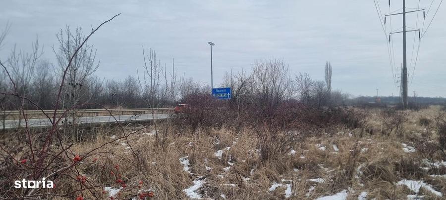 Teren de 60000 mp, în Bradu