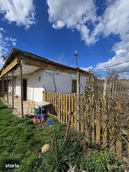 Casă cu 3 camere cu Teren 2876 Mp în Central