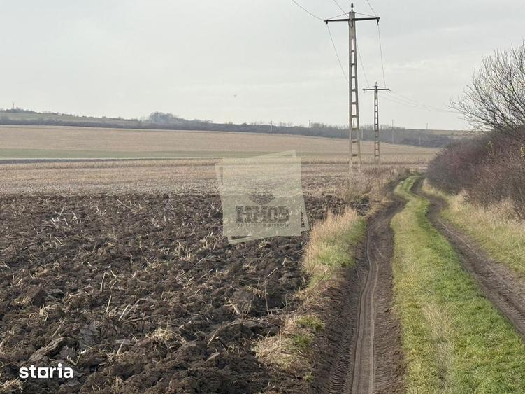 Teren de 20300 mp, în Central