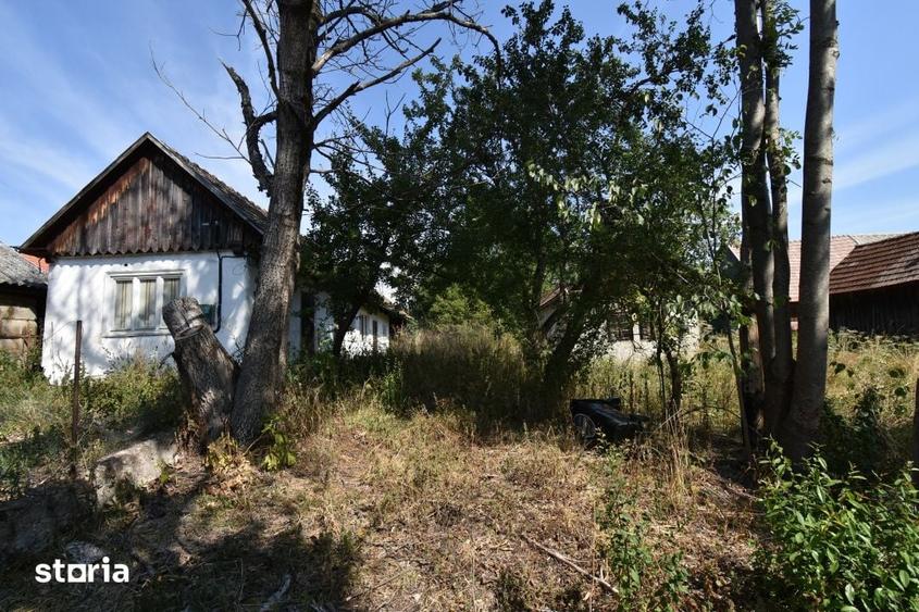 Casă cu 3 camere cu Teren 1500 Mp în Sava