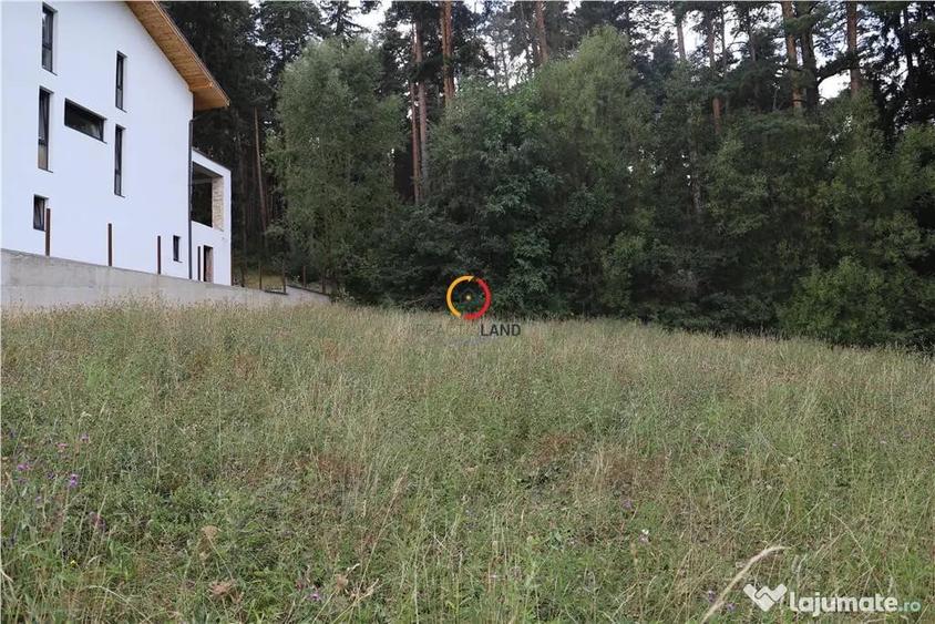 Teren de 1195 mp, în Poiana Angelescu