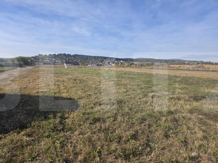 Teren Construcții intravilan de 590 mp, în Sâncraiu