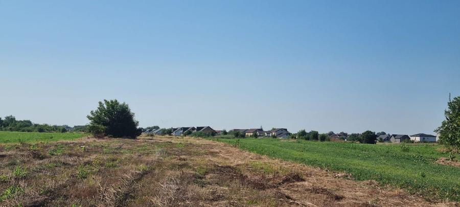 Teren Construcții intravilan de 2000 mp, în Ciorogârla
