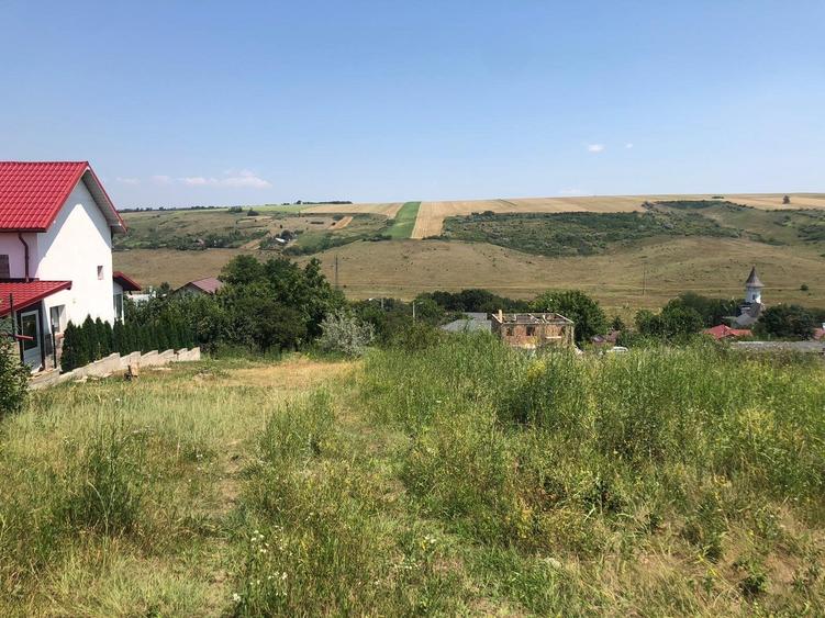 Teren de 5000 mp, în Vânători
