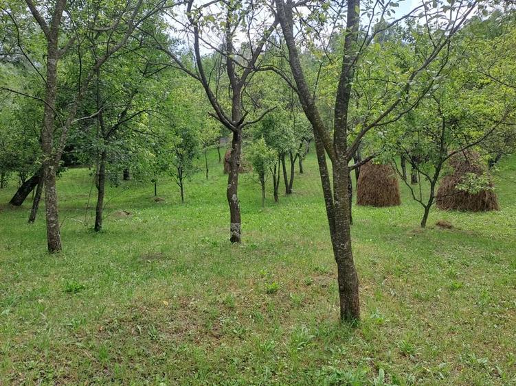Teren în Șotrile