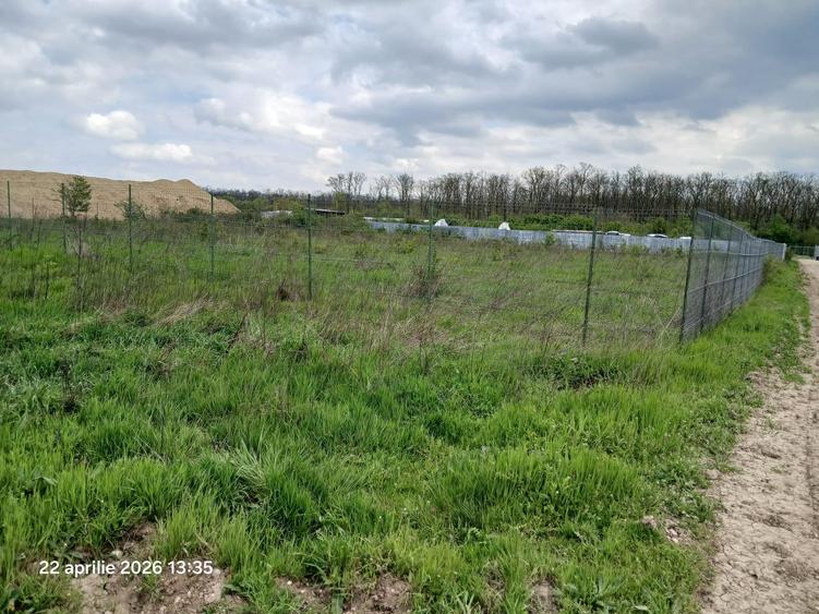 Teren Construcții intravilan de 900 mp, în Cernica