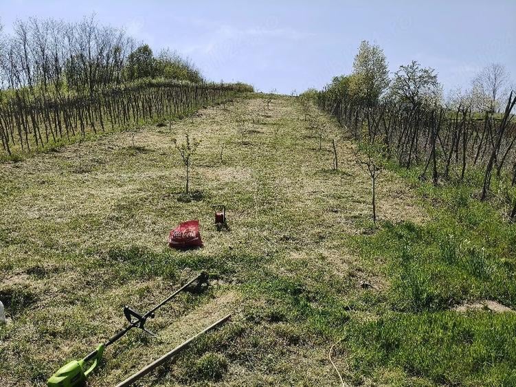 Teren de 2000 mp, în Gării