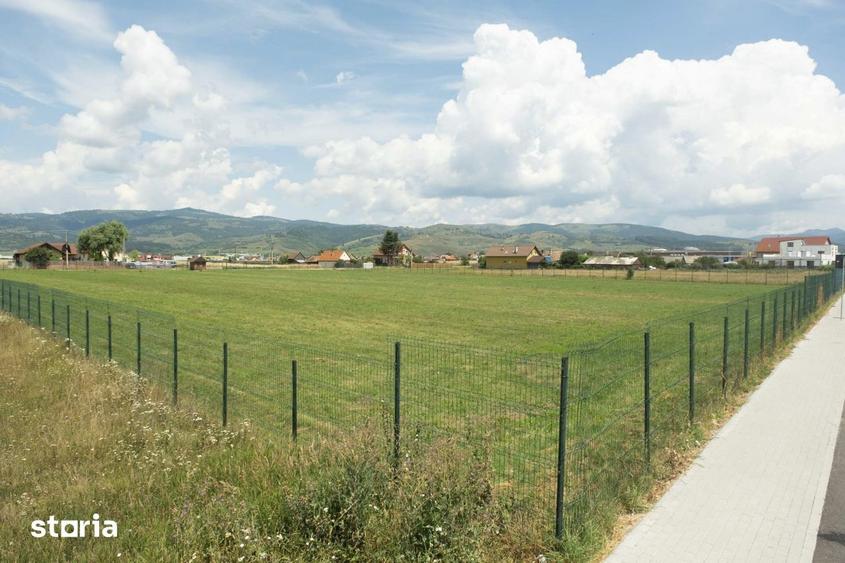 Teren de 9398 mp, în Gheorgheni