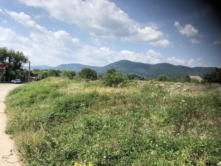 Teren de 5470 mp, în Ciritei