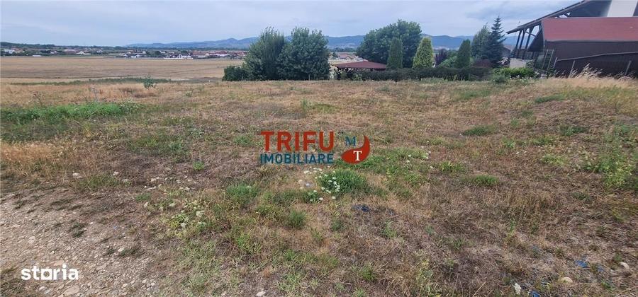 Spațiu comercial, în Șeușa