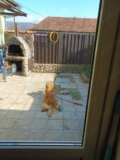 Casă cu Teren 95 Mp în Central