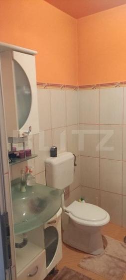 Casă individuală cu 6 camere cu Piscina în Nufărul