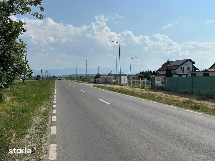 Vand teren 18.100 mp pentru dezvoltare in Sura Mica / jud. Sibiu - 4